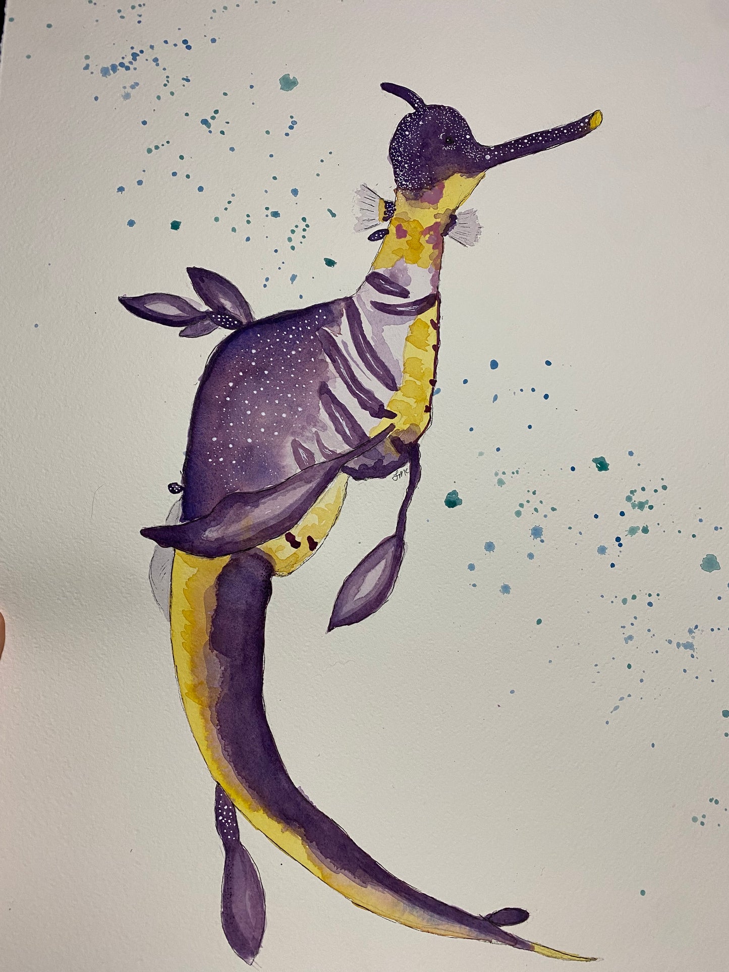 Weedy Sea Dragon