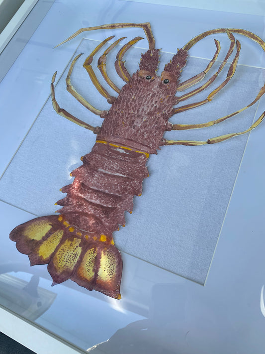 Lionel the Lobster
