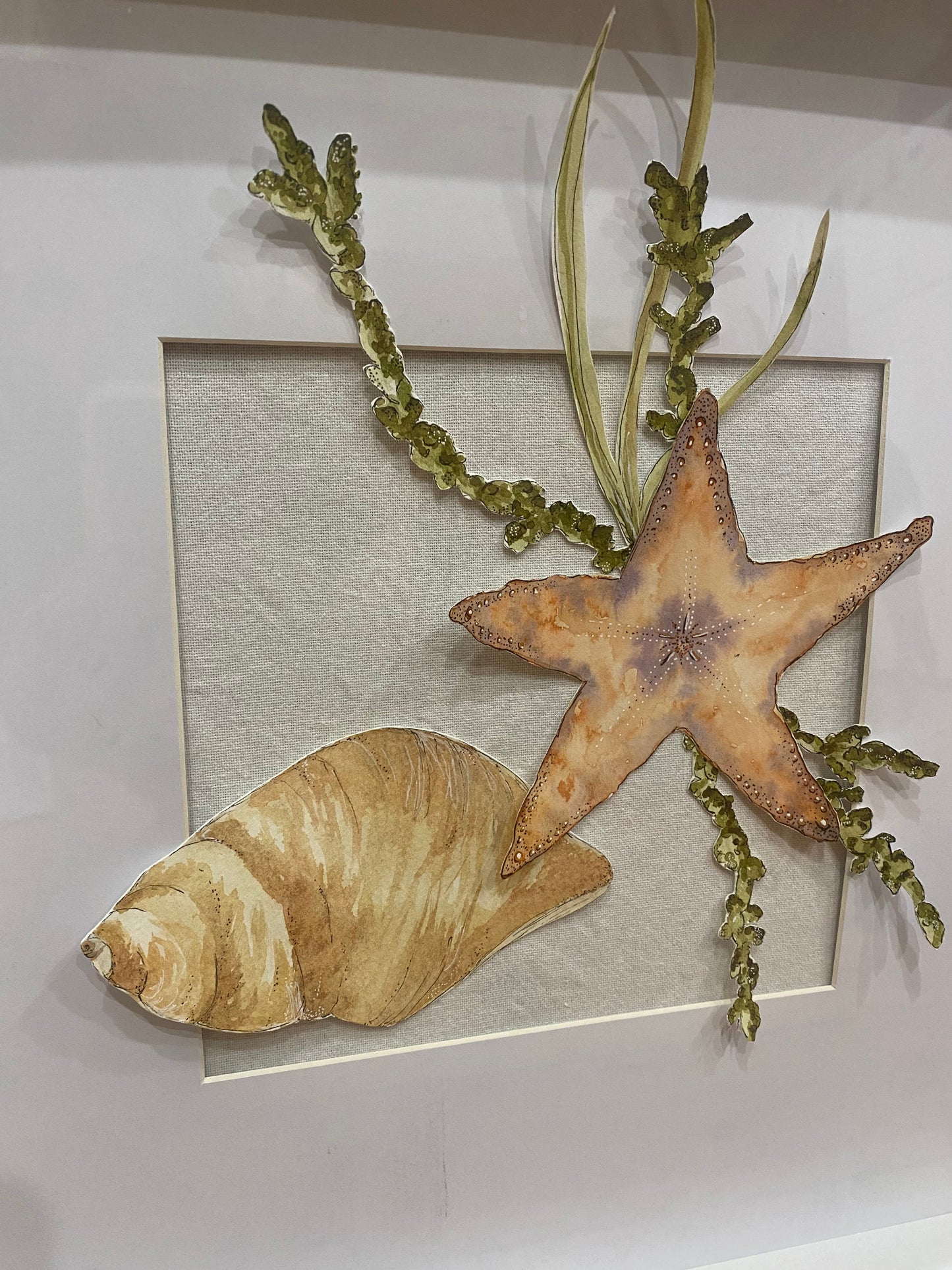 Seeing Seastars
