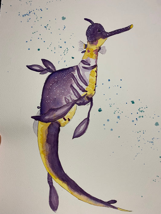 Weedy Sea Dragon