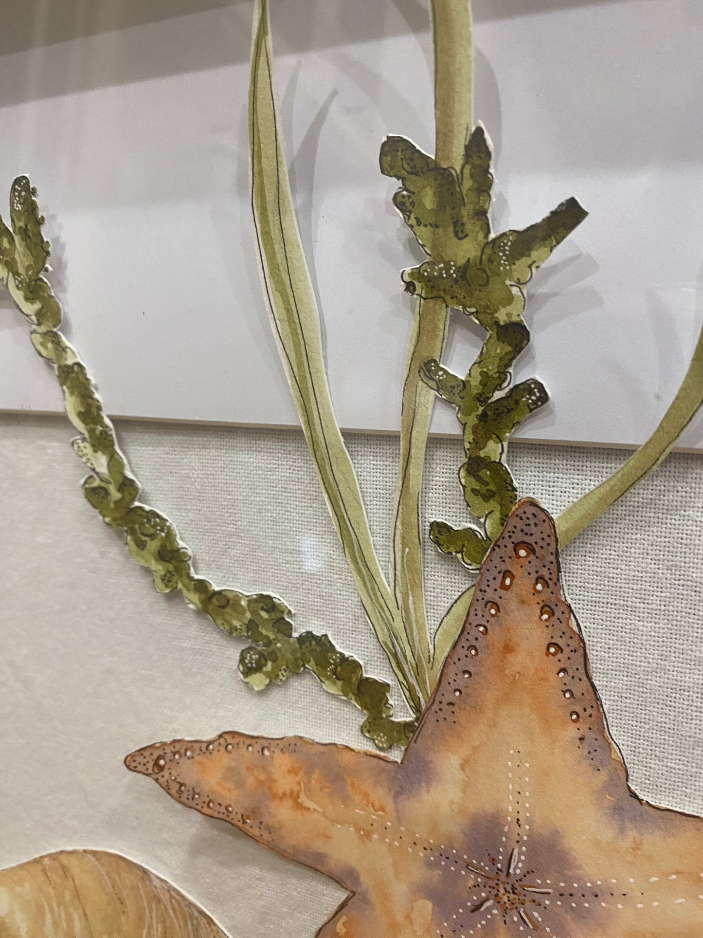 Seeing Seastars