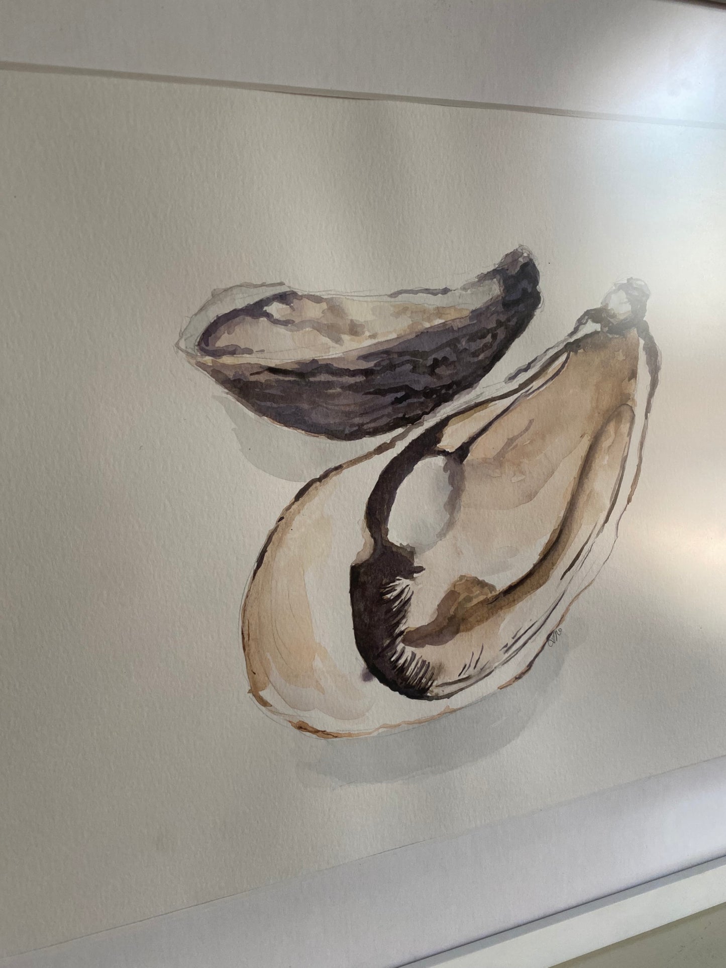 Natural Oysters
